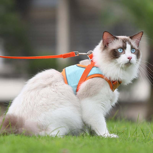 🐈Отразяваща котешка каишка с повод против бягство