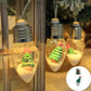 🎄Коледни светлини